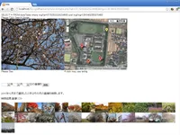 画像共有システムの日付検索