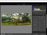 Lightroomによる写真の明るさ調整