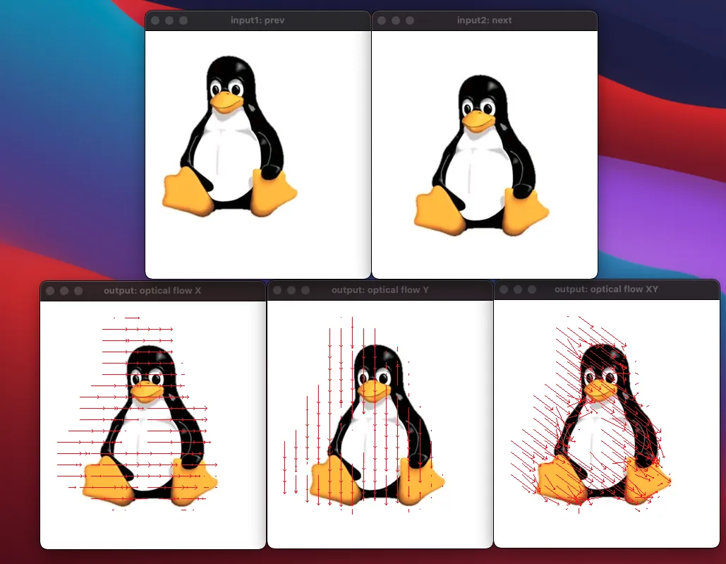 OpenCV 4.5によるオプティカルフローの表示
